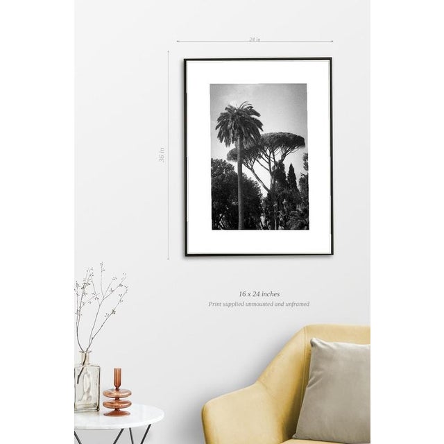 Fine art Giclee prints on Hahnemuhle Photo Rag 308gsm - a 100% cotton, acid-free, mould-made paper. Printed to Fine Art...