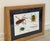 2000 multi-bug drawing/painting in wood frame; signed Chuck Baier. Excellent condition. Measures 13.5" x 11" including frame.