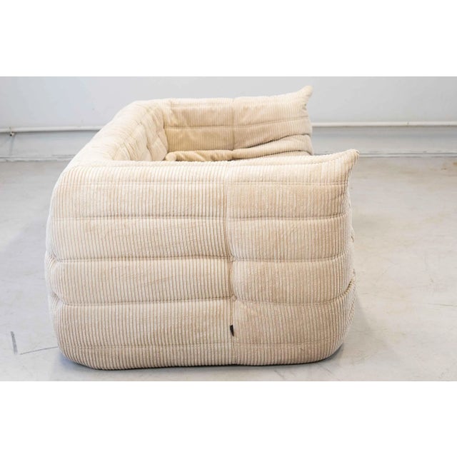 Beige Vintage Two-Seat Togo Sofa with Arms in Beige Corduroy by Michel Ducaroy for Ligne Roset, 1970s For Sale - Image 8 of 18