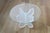 1980s 1980s Lion in Frost Style Lucite Butterfly Wing Shape Mid-Century Coffee Table Base For Sale - Image 5 of 16