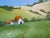 Contemporary Sonoma Barns Lynne French 16x20 California Landscape O/C For Sale - Image 3 of 6