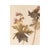 Rustic European Vintage Swedish Herbarium - Geranium Cranesbill, Circa 1962 For Sale - Image 3 of 4