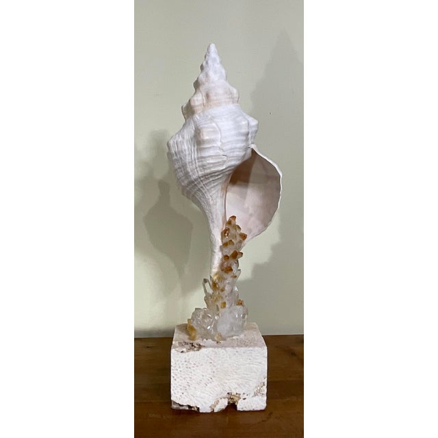 Shell Handcrafted Marine & Mineral Sculpture by Joseph Malekan For Sale - Image 7 of 15