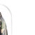 Religious Artist, Saint Rita of Cascia, 1920s, Clay Sculpture in Glass Dome For Sale - Image 4 of 6