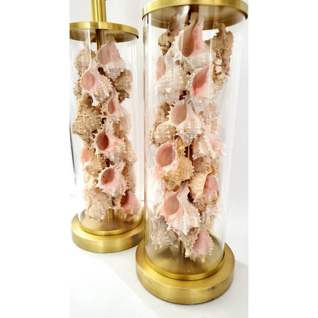 Lamps by Ralph Lauren Signed Pair With Shells Seashells Added For Sale - Image 12 of 17