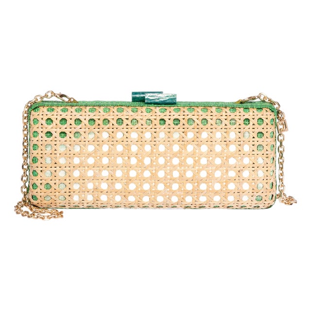 Alessandra Long Clutch in Natural / Green For Sale