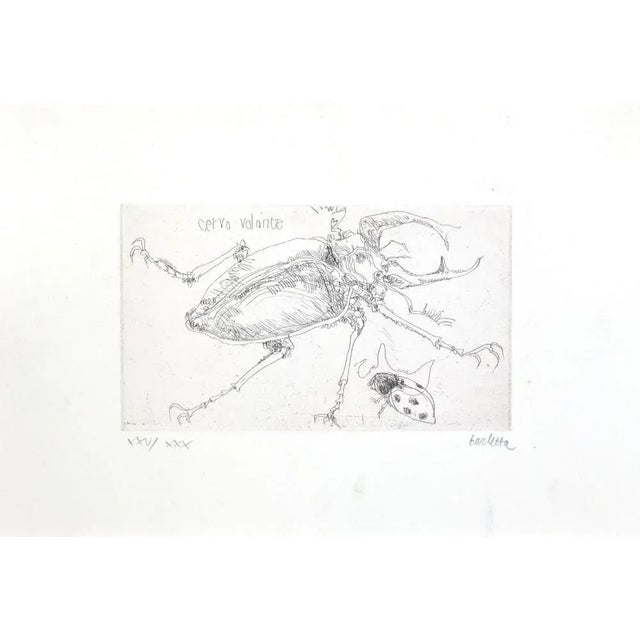 Insects is an etching, realized by sergio barletta in 1974. Hand-signed in pencil on the lower right. Numbered on the...