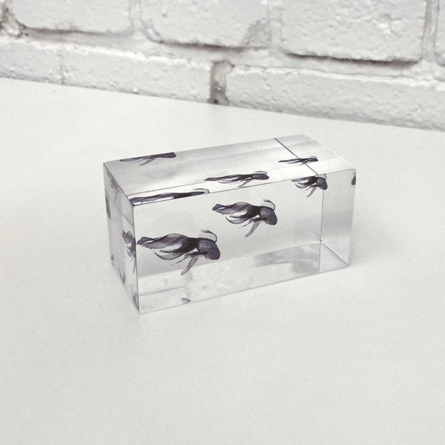 Contemporary DWM | MALOOS Lucite Blue Fish Decorative Paper Weight, Made in the Usa For Sale - Image 3 of 7