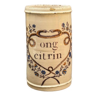 19th Century Earthenware Pharmacy Jar with Branches and with Snakes For Sale