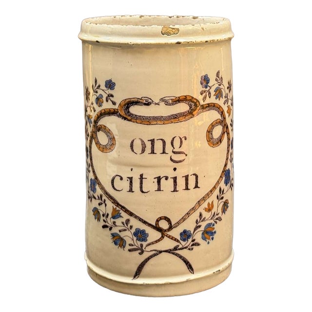 19th Century Earthenware Pharmacy Jar with Branches and with Snakes For Sale