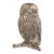 Midcentury English Silver-Plate Owl Desk Ornament For Sale