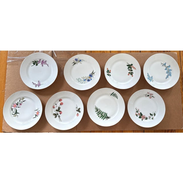 Late 19th Century Limoges Cabinet Plate Collection - Set of 8 For Sale - Image 10 of 16