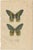 This original antique print of the butterfly "Urania prometheus" is a detailed illustration that served as a plate in...