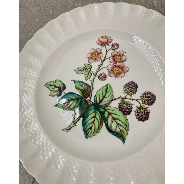 Late 20th Century Vintage English Copeland Spode ‘Glendale’ Scalloped Plates in Chelsea Wicker, Botanical Centers With Varied Hand Colored Fruit & Floral- Set of 3 For Sale - Image 5 of 12