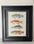 Vintage Zoological Fish Chromolithograph Framed For Sale - Image 4 of 4