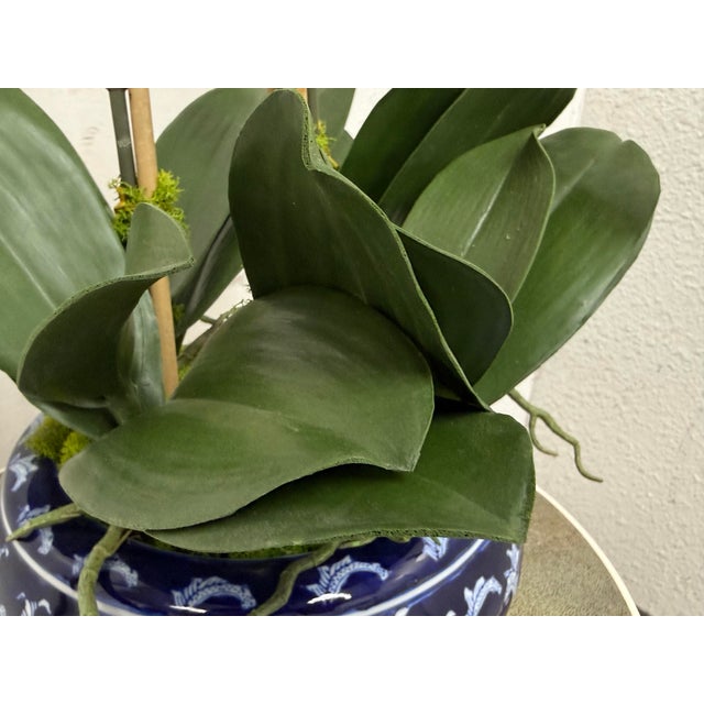 Winward Home Orchid in a Fishbowl For Sale - Image 11 of 12