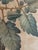 Early 19th Century Antique Hand-Colored Engraving — Tomato & Melon Botanical Print After Basilius Besler, Framed For Sale - Image 5 of 18