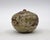 15th Century Thai Sawankhalok Small Stoneware Persimmon Shaped Box For Sale - Image 4 of 7