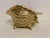 Large Vintage Brass Conch Seashell Planter For Sale - Image 4 of 12