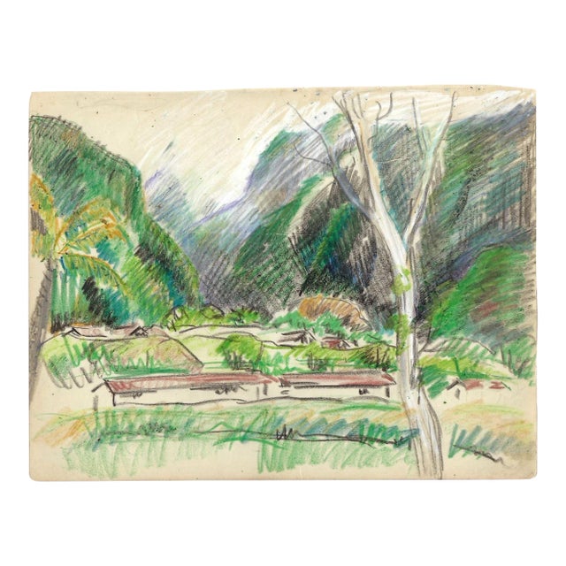 1940s Grace Spongberg Manoa Valley Hawaii Drawing For Sale
