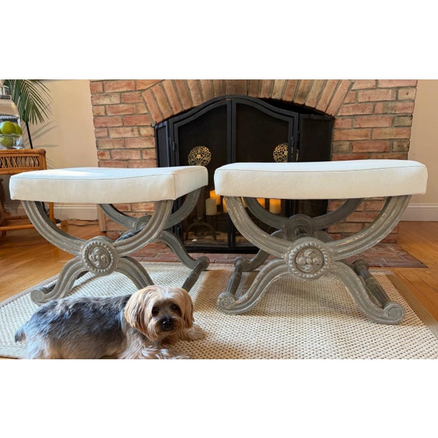 French Custom French Grey Painted Neo-Classic X-Style Benches, a Pair For Sale - Image 3 of 14