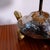 Zaccagnini Ceramic Turtle-Shaped Table Lamp, 1970s For Sale - Image 18 of 18