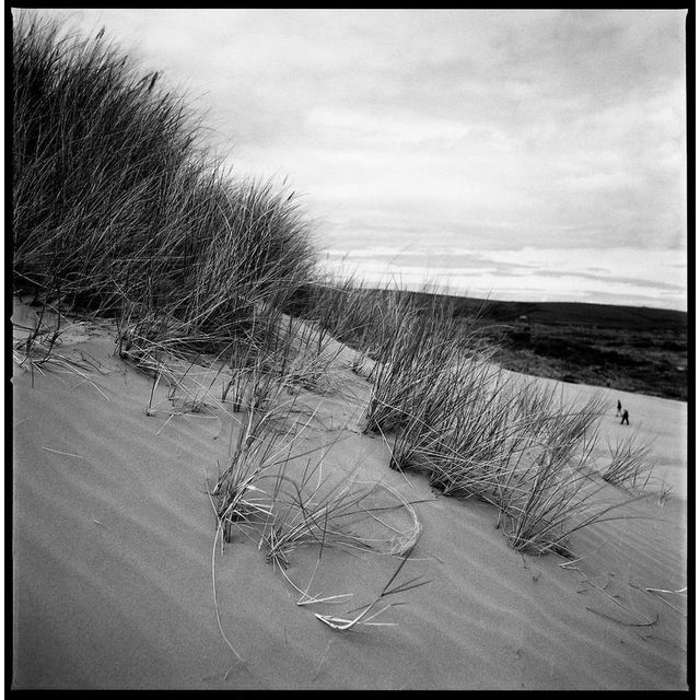 Not Yet Made - Made To Order Paul Cooklin, Sand Dune III, Edition of 50 For Sale - Image 5 of 5
