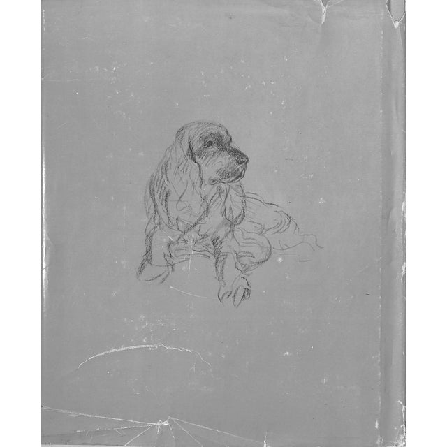 1930s "Dogs Rough and Smooth" Book 1973 Dawson, Lucy For Sale - Image 5 of 12