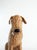 Wood Large 27" Life-Size Hand-Woven Wicker Airedale Terrier Sculpture — Made in the Philippines For Sale - Image 7 of 12