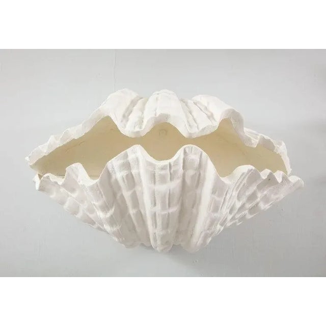 Pair of coquillage plaster sconces Please note that these are made to order - all our plaster lighting is UL wired. NOTE:...