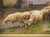 19th Century French Pastoral Oil Painting, the Shepherd and His Flock by Derians For Sale - Image 11 of 18