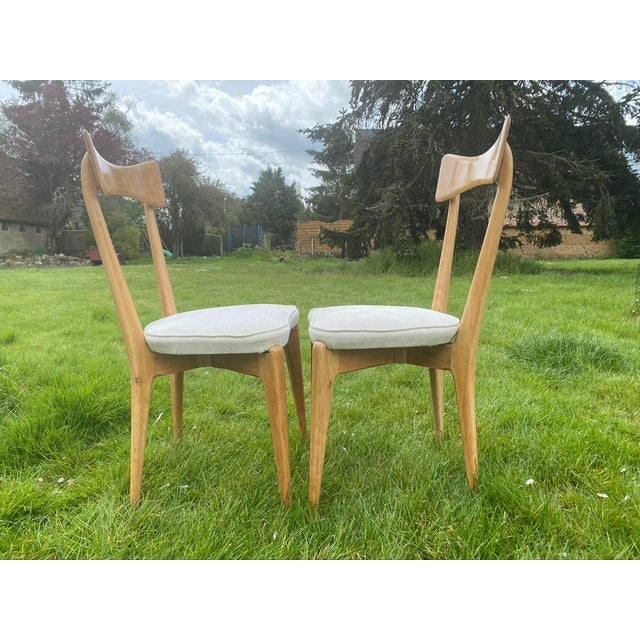 Set of Chairs by Ico Parisi for Ariberto Colombo, 1950s For Sale - Image 6 of 8
