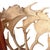Vintage Fallow Deer Antler Hall Tree For Sale - Image 14 of 15