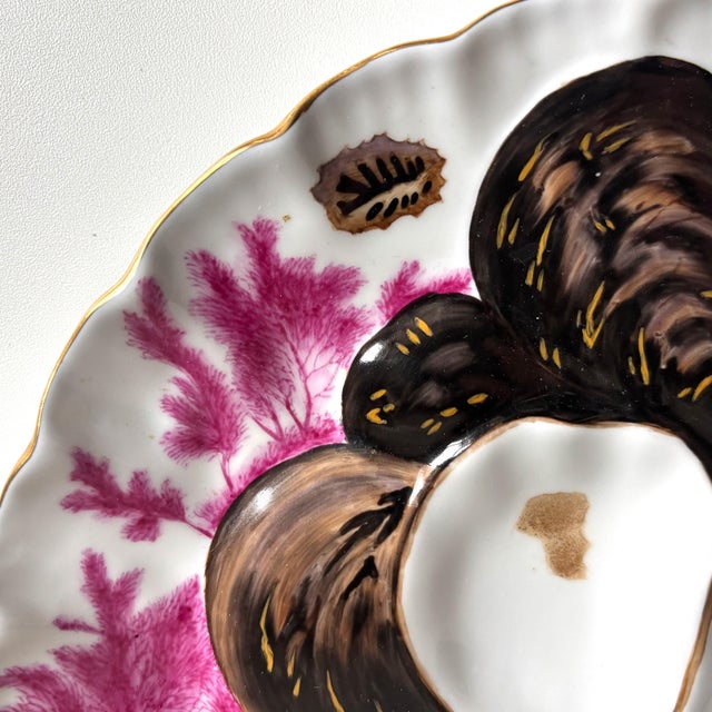 Haviland & Co. Antique Limoges Hand-Painted Oyster Plate – French Porcelain, Sea Life Motif, C. Late 19th Century For Sale - Image 4 of 4