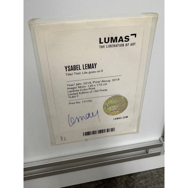 Ysabel LeMay “Life Goes on Ii” Signed Limited Edition Print With Certificate For Sale - Image 12 of 12