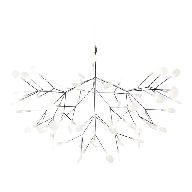 Moooi Heracleum III Large Suspended Light For Sale