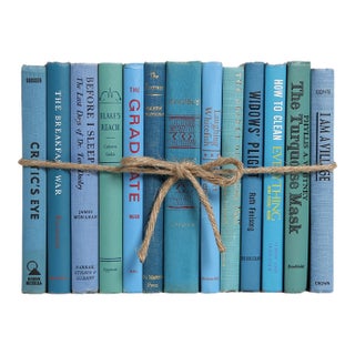 Decorative Books - Vintage Island Books - Blue Books by the Foot For Sale