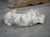 Italian Volterra Alabaster Sleeping Hound Sculpture – Bardiglio Grey, 20th C. For Sale - Image 14 of 14