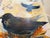“Nesting” Ravens Painting by LWren Walraven For Sale - Image 13 of 13