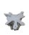 2010s Silver Star Organic Teak Root Coffee Table For Sale - Image 5 of 7