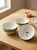 Ceramic Anthropologie X Fern & Co. Palm Tree Stoneware Small Bowl For Sale - Image 7 of 12