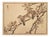 Kono Bairei, Birds and Flowers, 19th Century, Woodcut, Framed For Sale