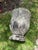 Ceramic Vintage Volcanic Glaze Terracotta Garden Planter For Sale - Image 7 of 10