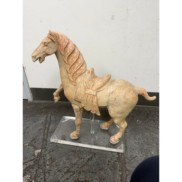 Design Plus Gallery presents an Antique Painted Pottery Tang Dynasty Style Horse Sculpture + Stand. This exquisite painted...