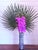 Palm Royale Orchid For Sale - Image 4 of 4
