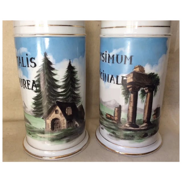 French Antique 19thC French Apothecary, Drug Store Jars, Hand Painted For Sale - Image 3 of 13