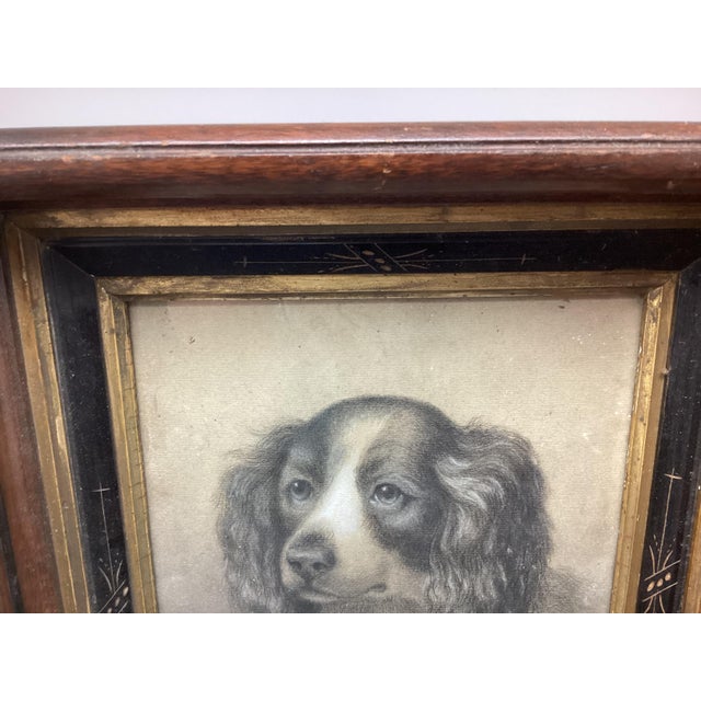 Victorian Late 19th Century Victorian Original Charcoal Drawing of King Charles Spaniel Dog Portrait For Sale - Image 3 of 5