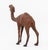 Standing Camel Leather Covered Sculpture, 20th Century For Sale In New York - Image 6 of 8