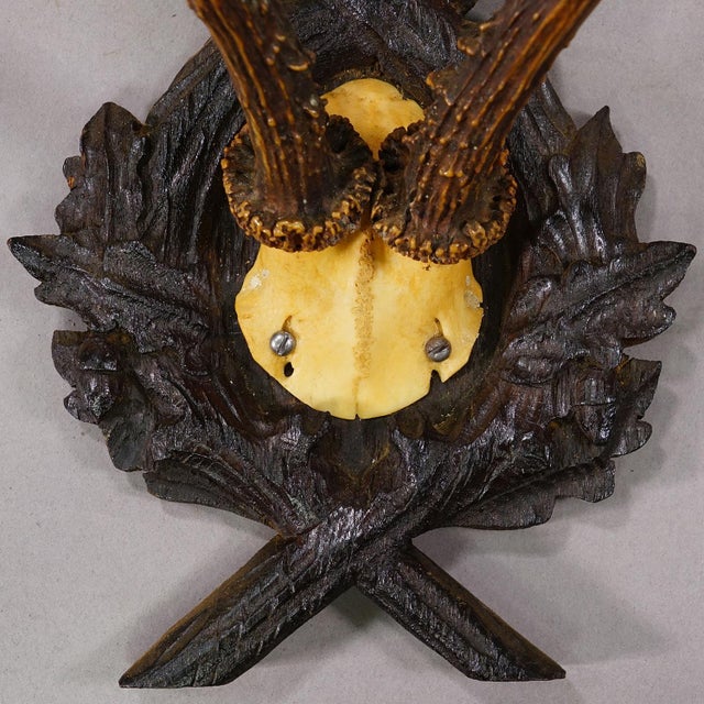 Antique Red Deer Trophy on Carved Plaque, Black Forest, Germany 1900 For Sale - Image 4 of 4