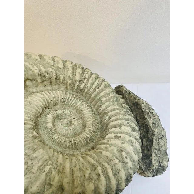 Large Ammonite Shaped Vase, 1980s For Sale - Image 9 of 10